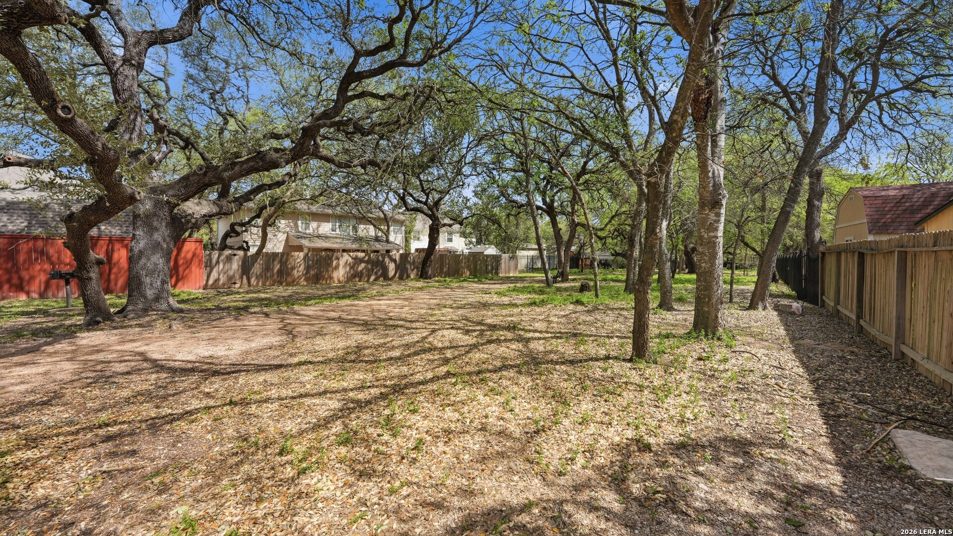 4520 Ridge Peak Drive Schertz, TX 78154 - Photo 40 of 44 a view of backyard with tree