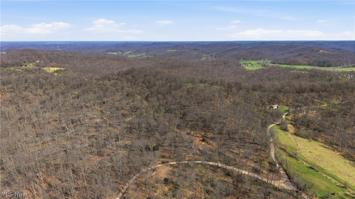 Logston Run Road Ravenswood, WV 26164 - Photo 5 of 10