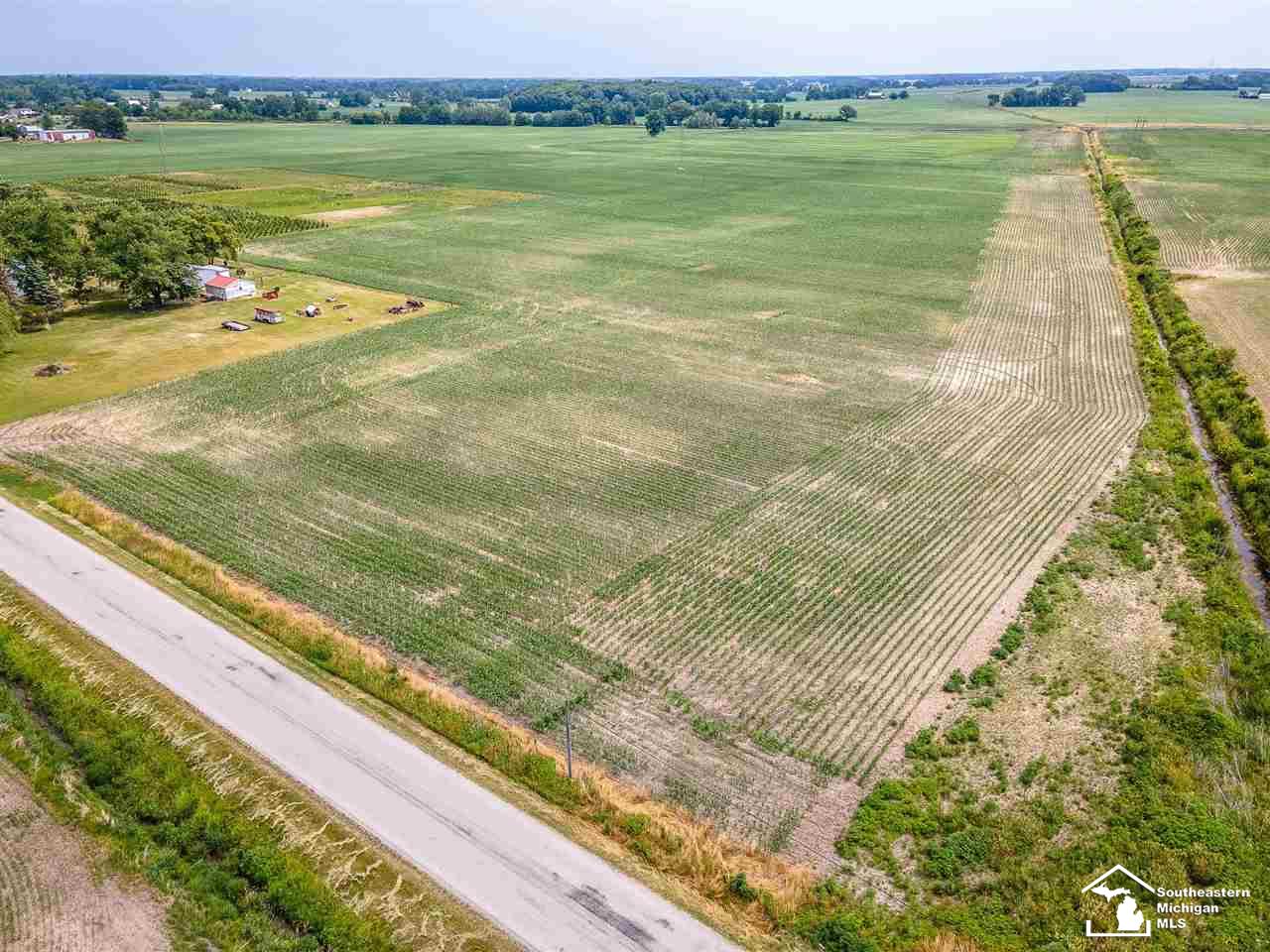 0 Douglas Road Ida, MI 48140 - Photo 4 of 14