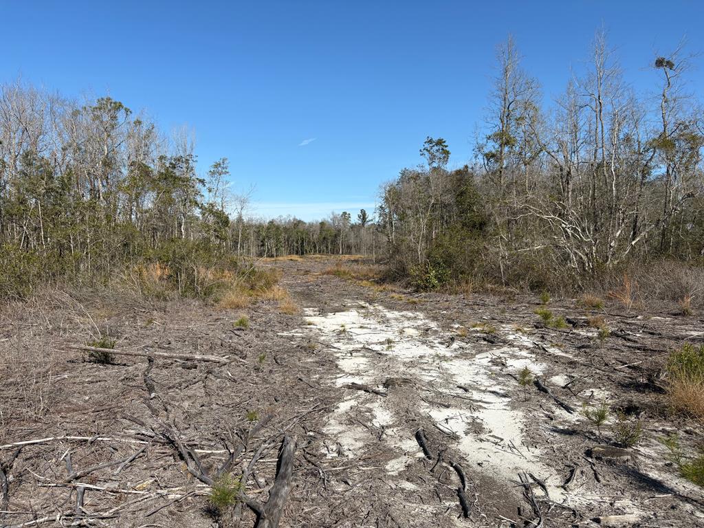 87 Highway 87 Samson, AL 36477 - Photo 32 of 47
