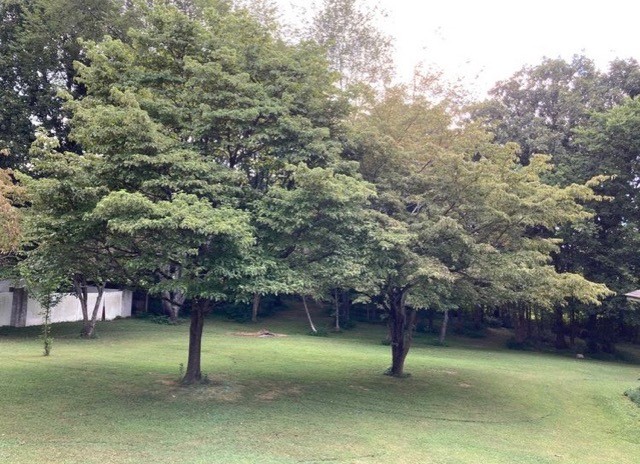 308 Raymond Hodges Road Cottontown, TN 37048 - Photo 29 of 37 Gallery Image 29