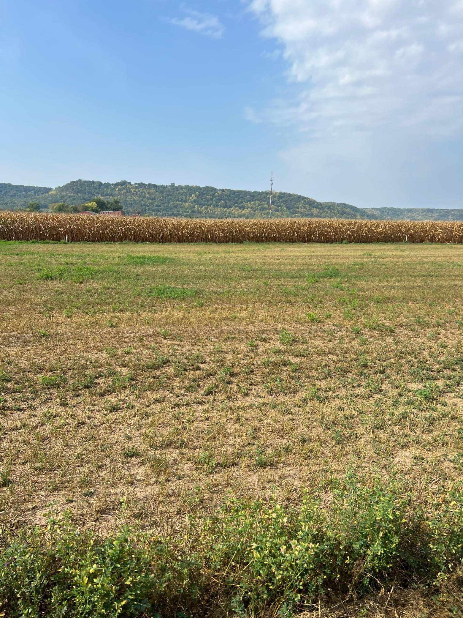 1512 River Drive South Wabasha, MN 55981 - Photo 2 of 5