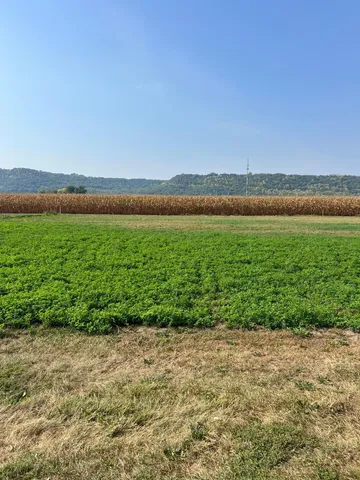 $65,000 | 1512 River Drive South, Wabasha, MN 55981