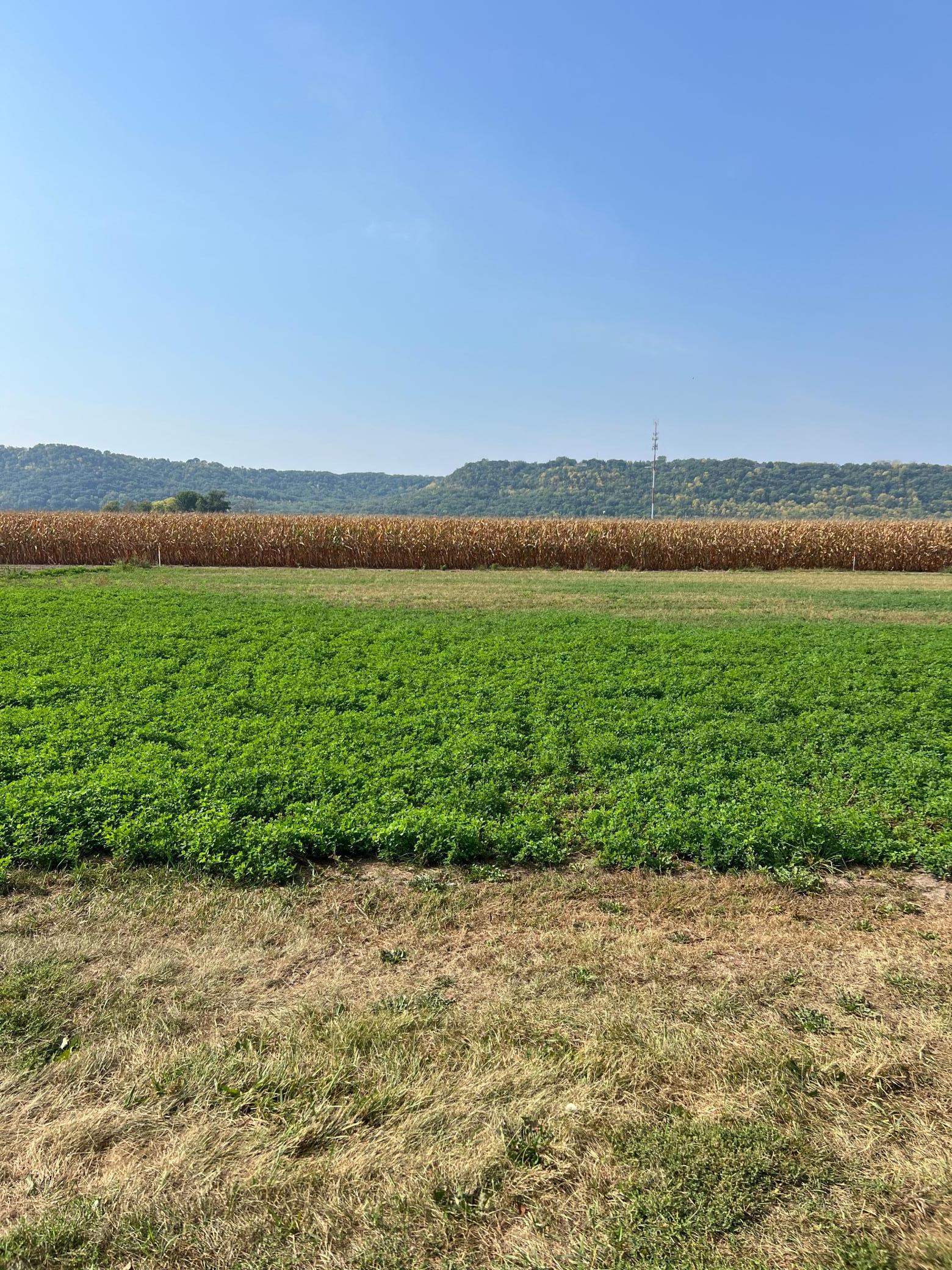 1512 River Drive South Wabasha, MN 55981 - Photo 3 of 5