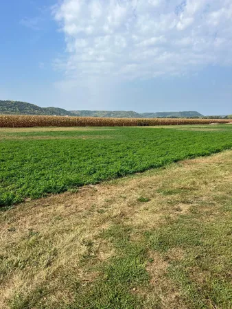 $65,000 | 1512 River Drive South, Wabasha, MN 55981