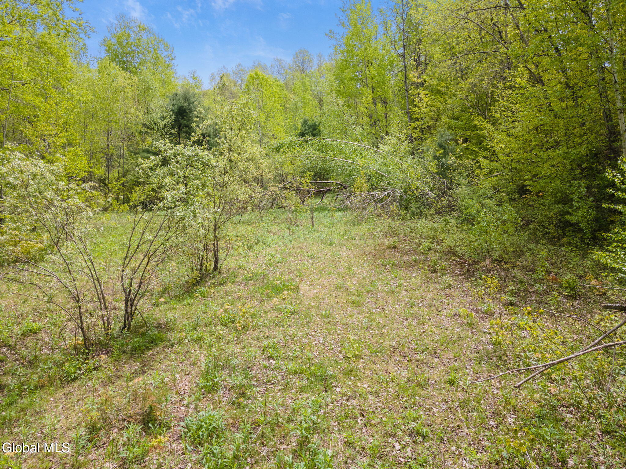 L11 Sternberg Road Jefferson, NY 12093 - Photo 6 of 11 5-SternbergRd_05