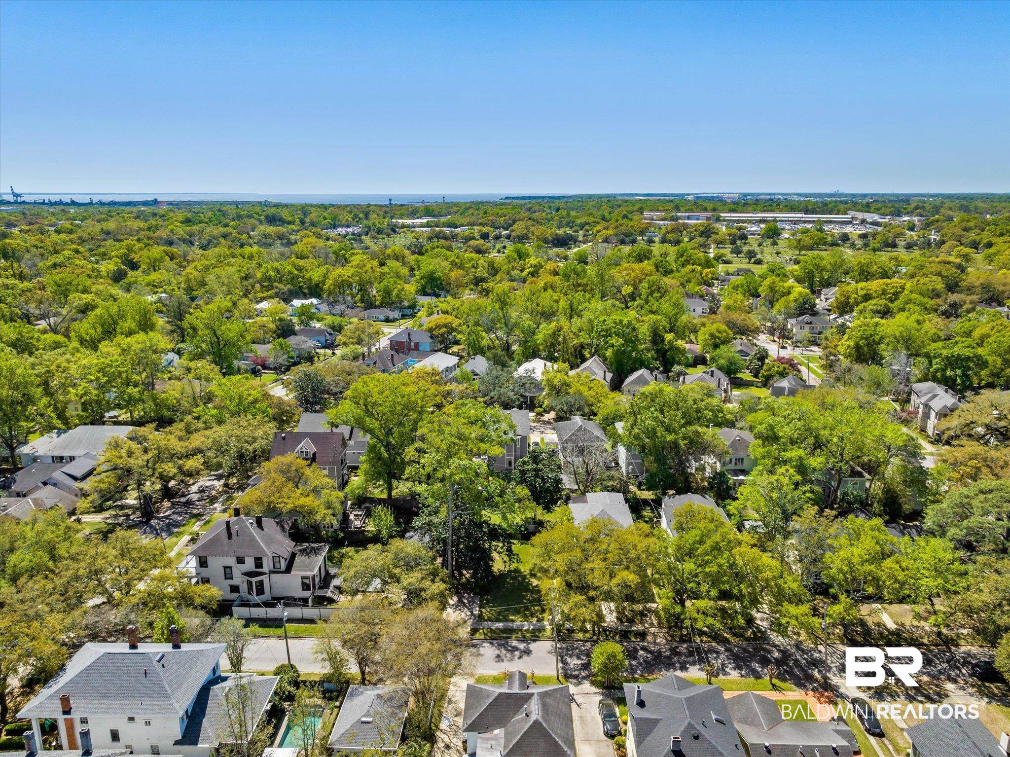0 Palmetto Street Mobile, AL 36604 - Photo 6 of 18