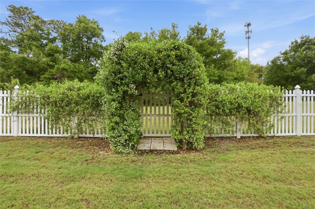 877 Haring Lane Mount Dora, FL 32757 - Photo 21 of 26 a front view of a house with a garden