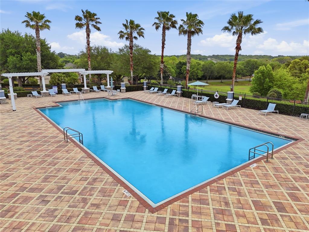 877 Haring Lane Mount Dora, FL 32757 - Photo 25 of 26 swimming pool view