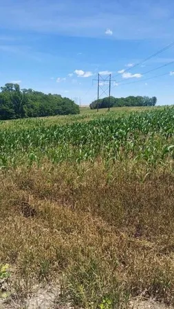 $516,000 | Grant Road, Maysville, MO 64469