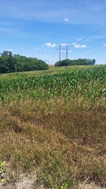 Grant Road Maysville, MO 64469 - Photo 16 of 63