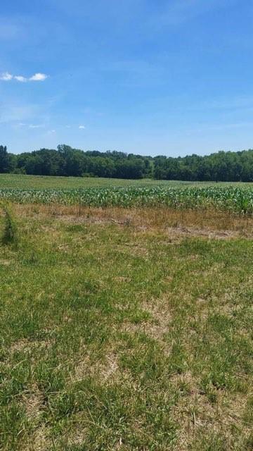 Grant Road Maysville, MO 64469 - Photo 17 of 63