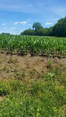 $516,000 | Grant Road, Maysville, MO 64469