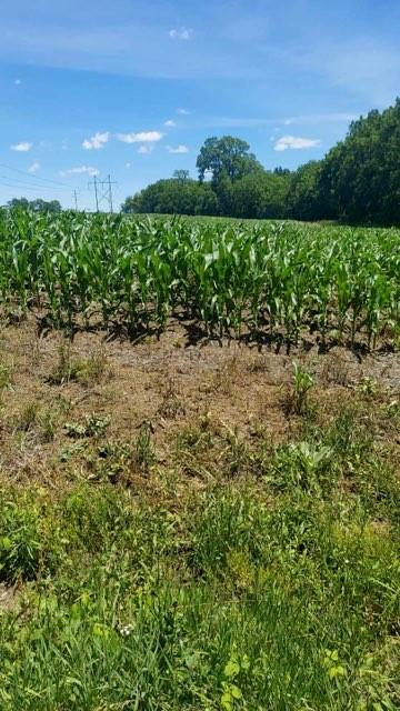 Grant Road Maysville, MO 64469 - Photo 18 of 63