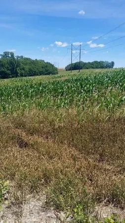 $516,000 | Grant Road, Maysville, MO 64469