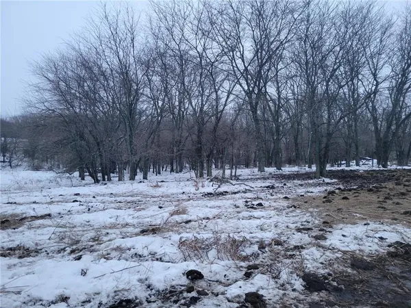 $516,000 | Grant Road, Maysville, MO 64469