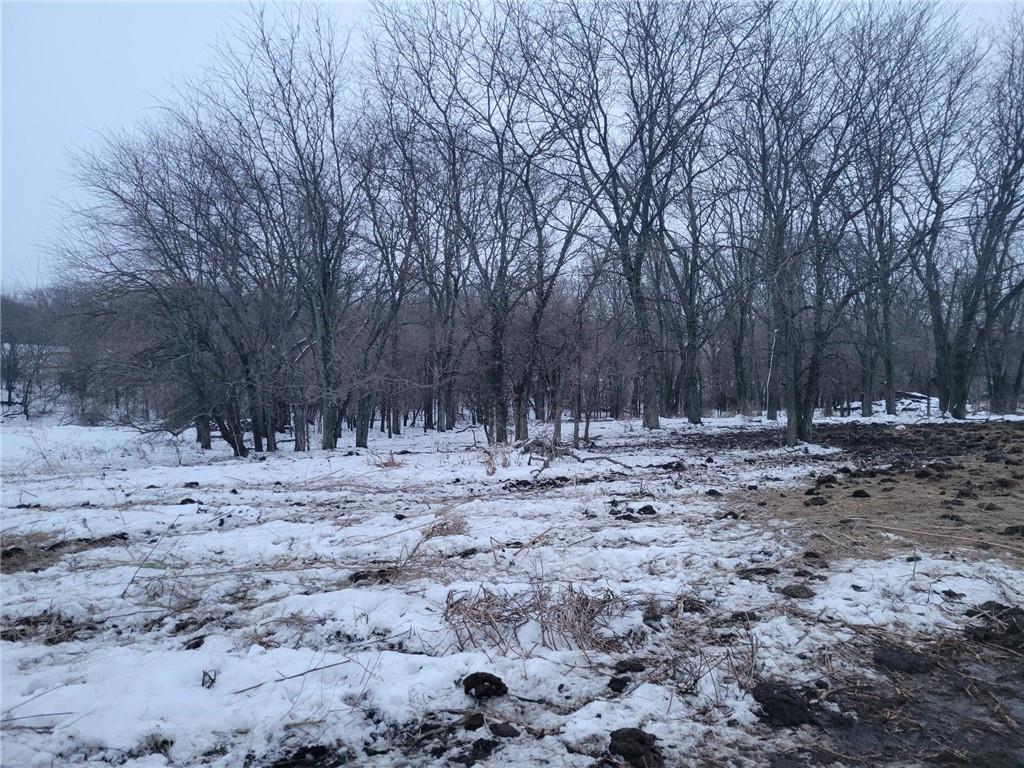 Grant Road Maysville, MO 64469 - Photo 24 of 63