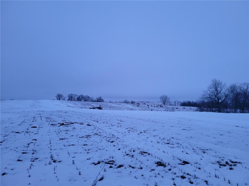 Grant Road Maysville, MO 64469 - Photo 25 of 63