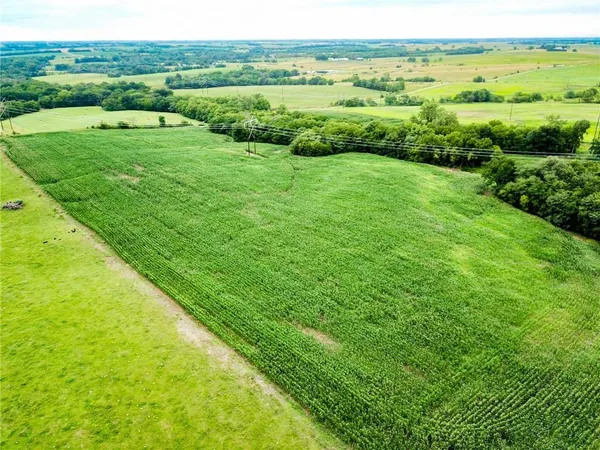 $516,000 | Grant Road, Maysville, MO 64469