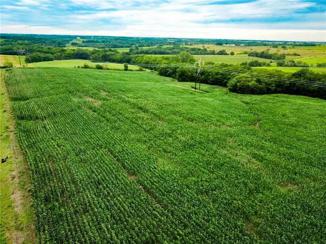 $516,000 | Grant Road, Maysville, MO 64469