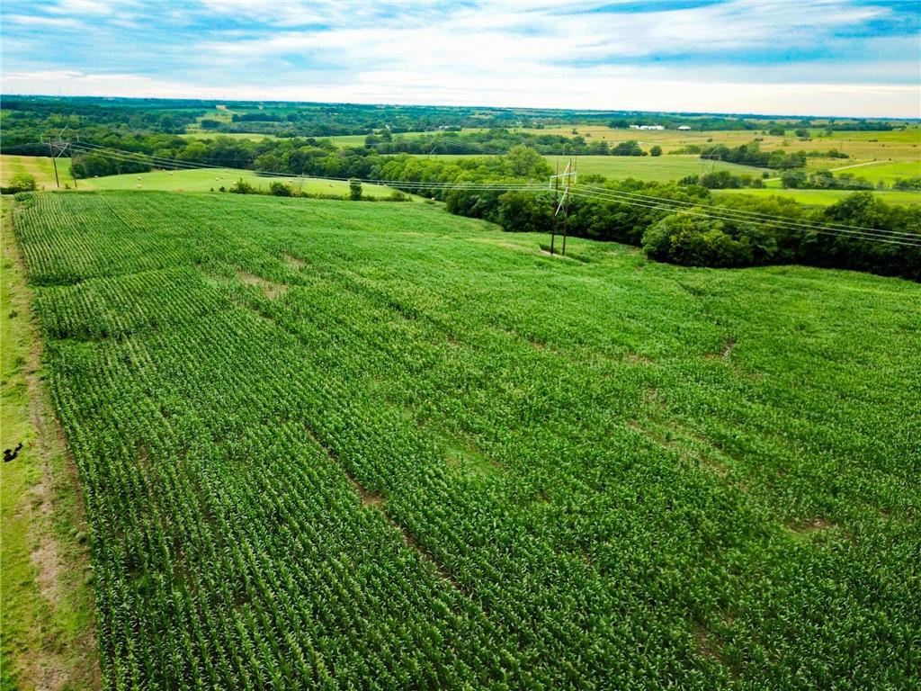 Grant Road Maysville, MO 64469 - Photo 7 of 63