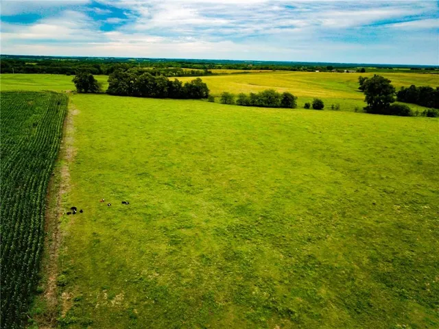 $516,000 | Grant Road, Maysville, MO 64469