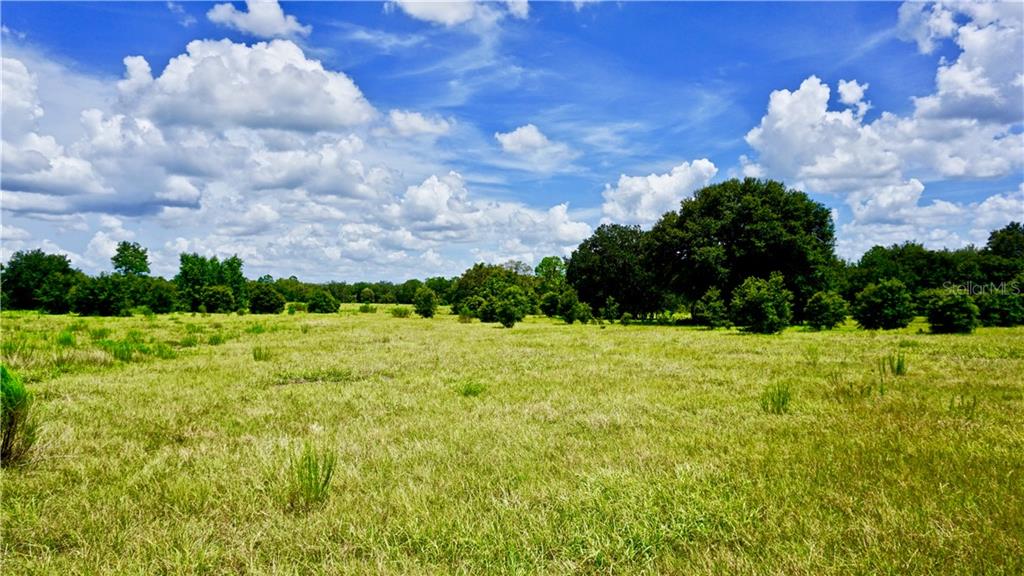 Mattioda Road Groveland, FL 34736 - Photo 1 of 1 Gallery Image 1