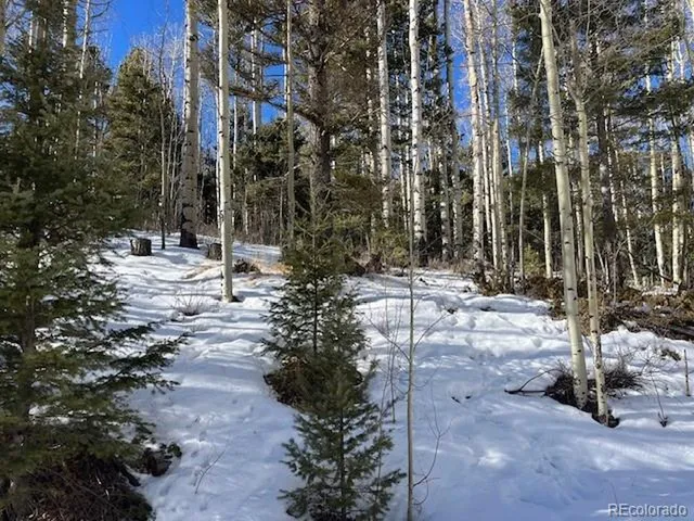 a view of a backyard of the house