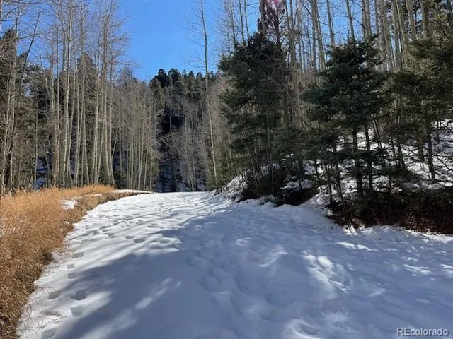 a view of a forest with a building