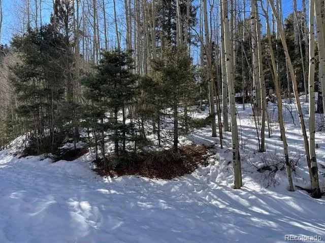 a view of a yard with wooden fence and trees
