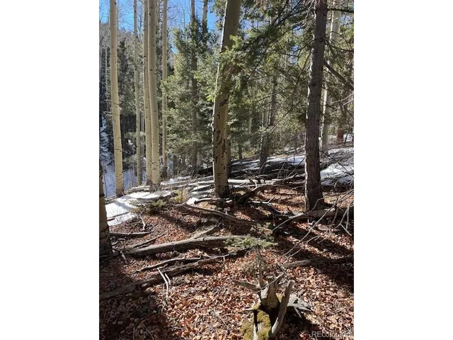 a view of flowerpot with wooden floor