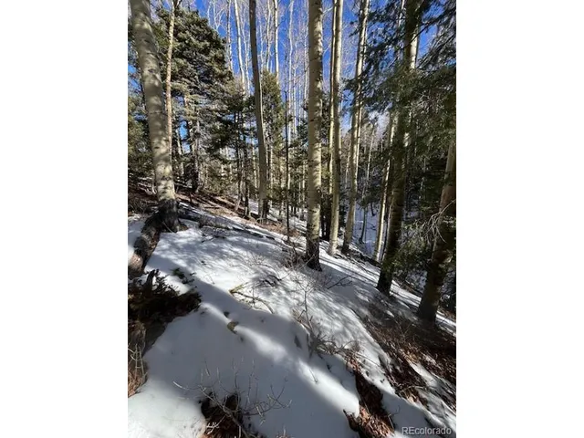 a view of a yard with iron fence
