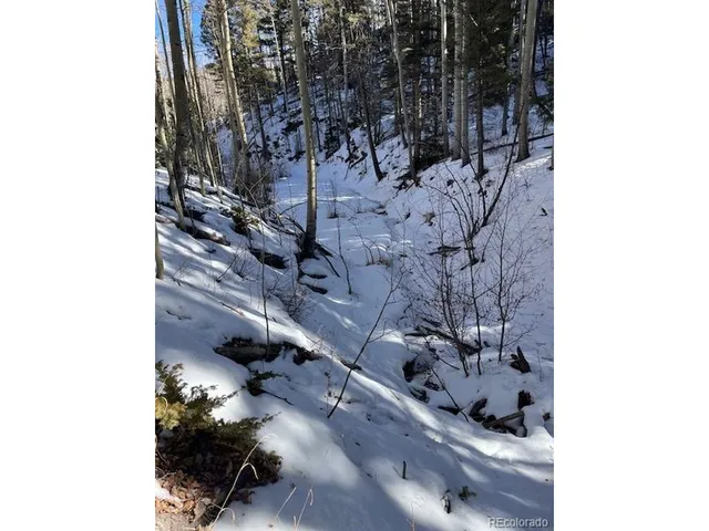 a picture of a person on a wall