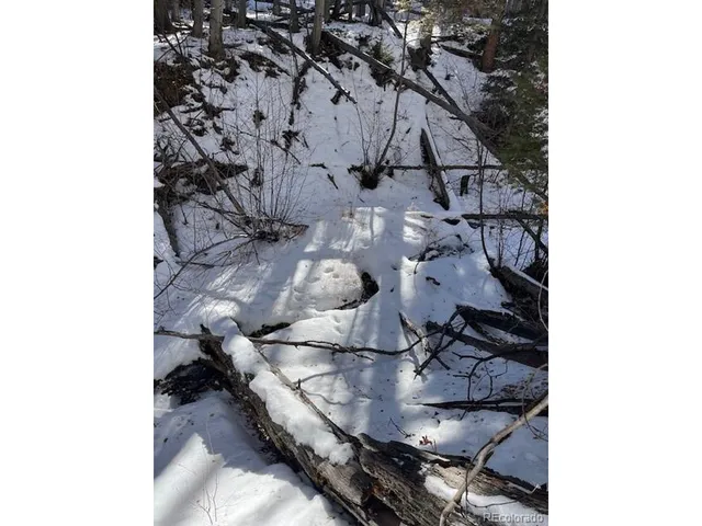 a black and white photo of a lake