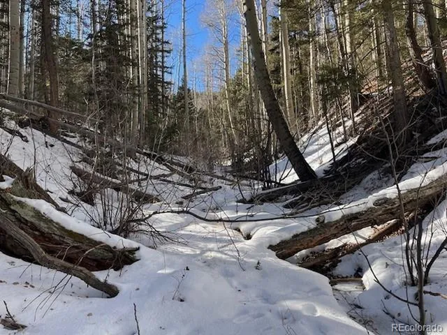 $26,000 | 5252 Scott Road, Fort Garland, CO 81133