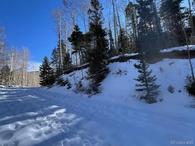 a view of outdoor space with lots of trees
