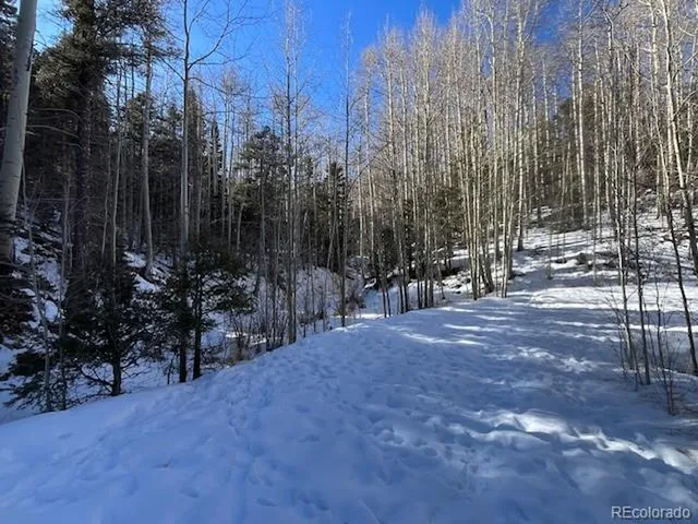 a view of outdoor space with patio and wooden fence