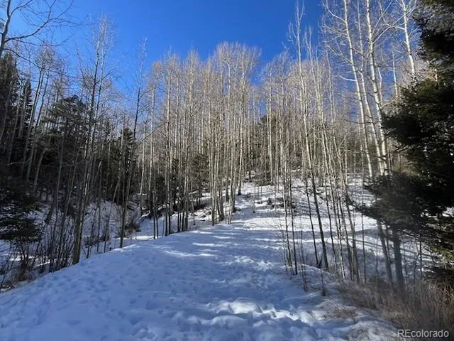 a view of a park with trees