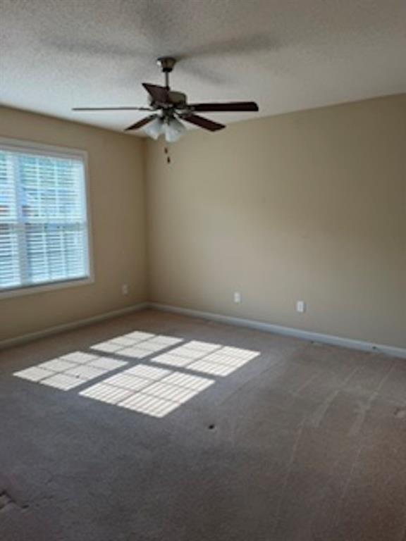 150 Old Mill Road, Unit 311 Cartersville, GA 30120 - Photo 12 of 14 Gallery Image 12