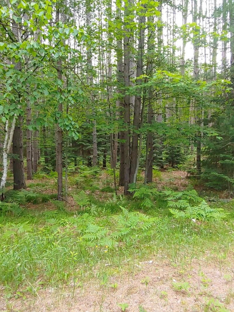 Lot 44 Deerpath Road Woodruff, WI 54568 - Photo 2 of 8 Gallery Image 2