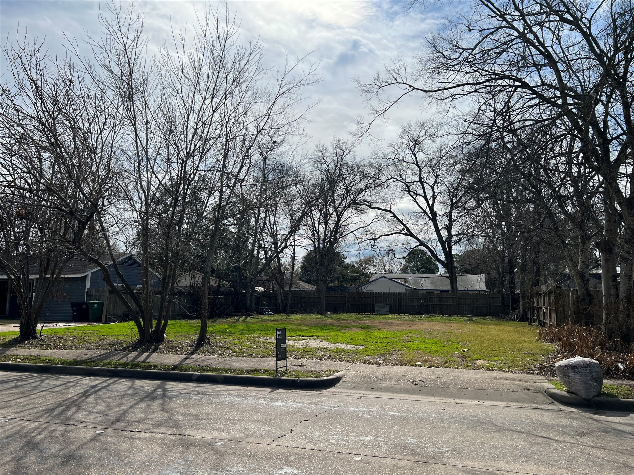 a view of a park with tree s