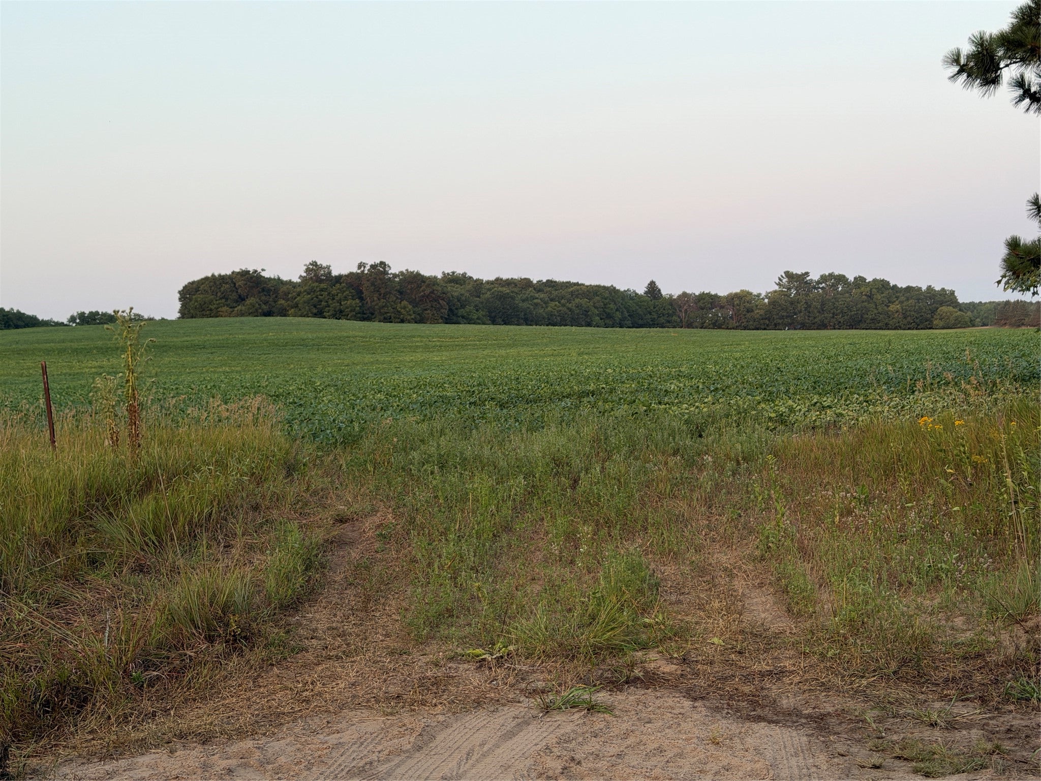 N1290 County G Road Osseo, WI 54758 - Photo 18 of 22 Gallery Image 18