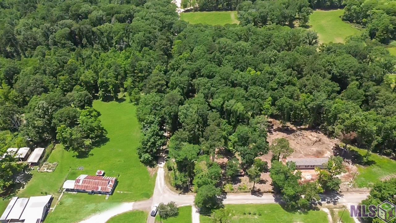Tract C Picou Road Maurepas, LA 70449 - Photo 3 of 10