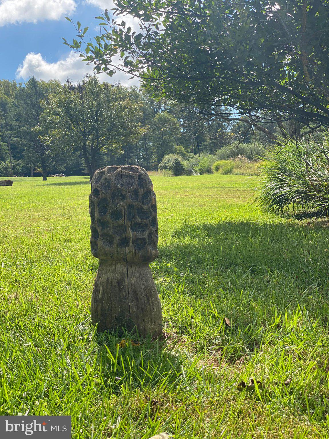 18777 Blue Ridge Mountain Road Bluemont, VA 20135 - Photo 87 of 103 Gallery Image 87
