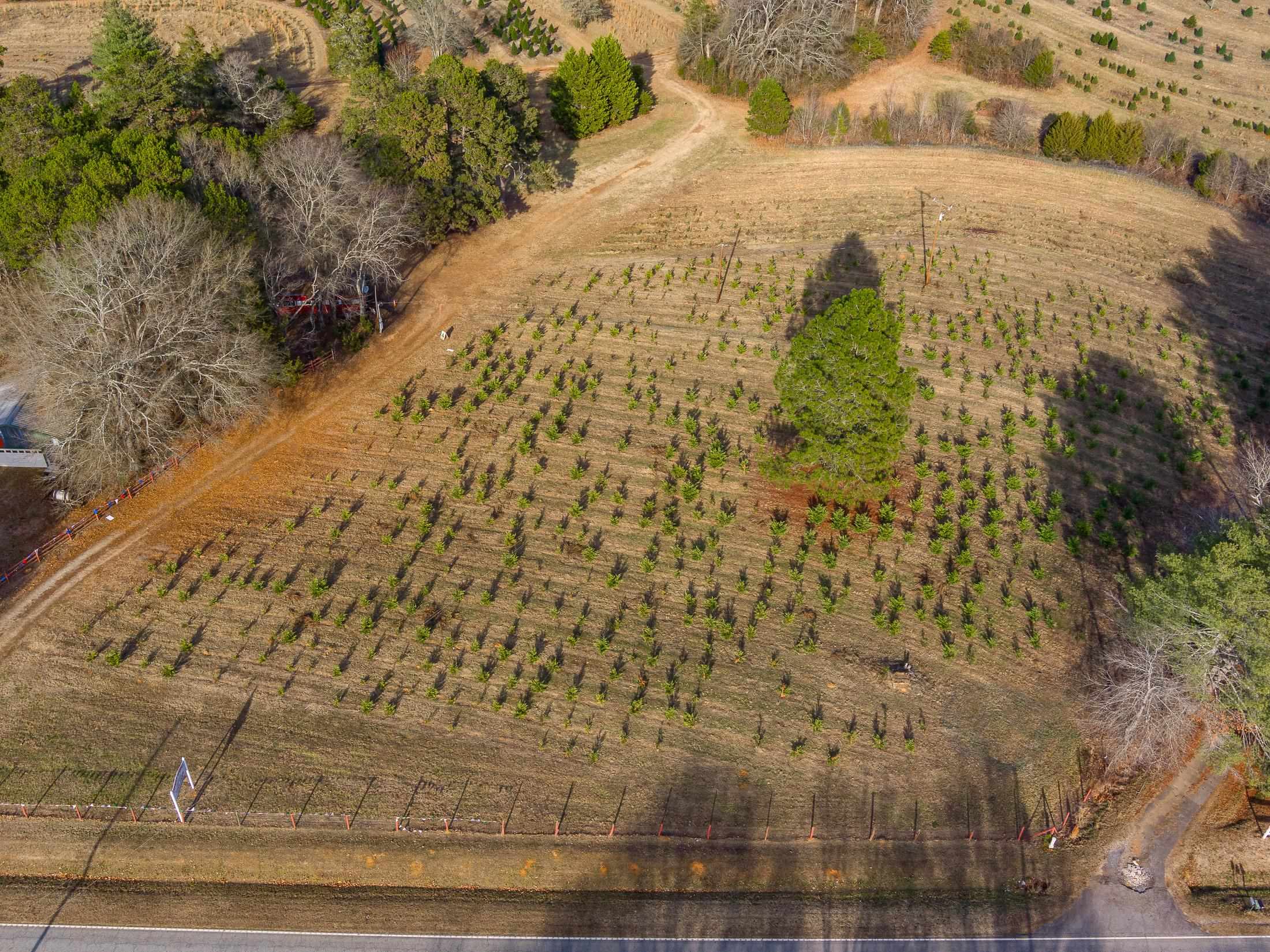 418 Martin Camp Road Chesnee, SC 29323 - Photo 1 of 27