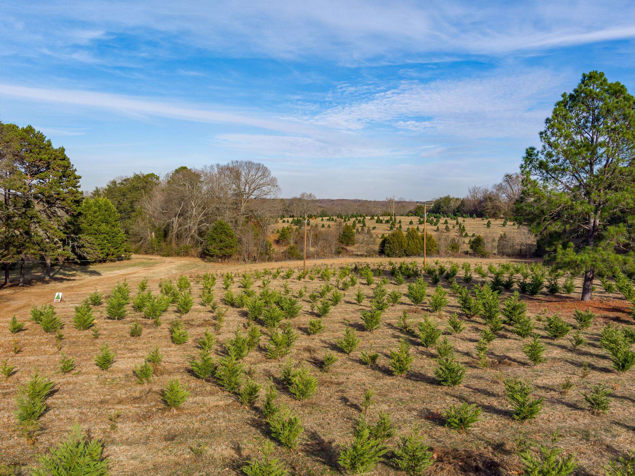 418 Martin Camp Road Chesnee, SC 29323 - Photo 12 of 27