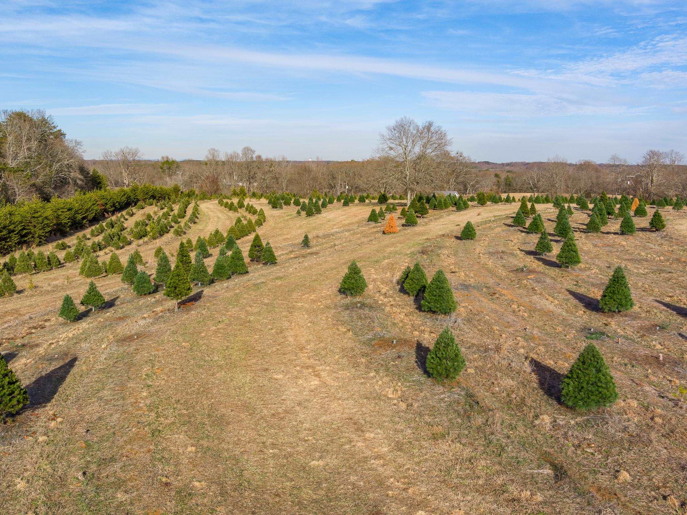 418 Martin Camp Road Chesnee, SC 29323 - Photo 17 of 27