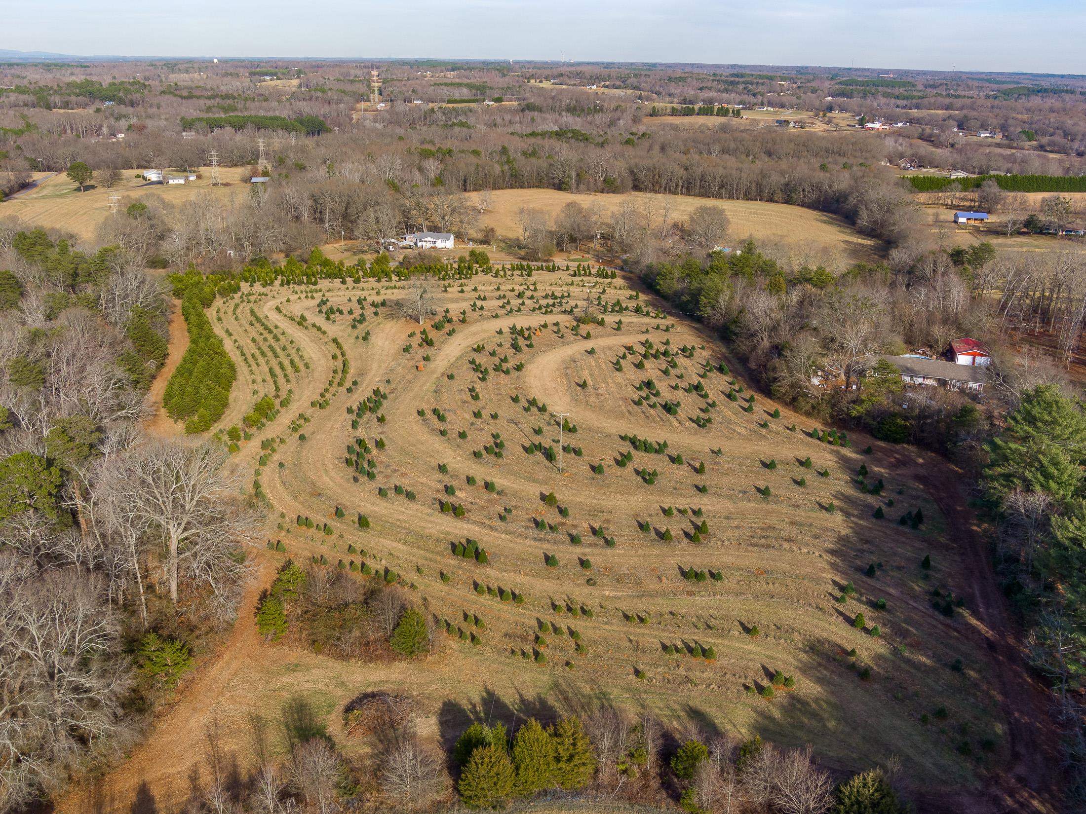 418 Martin Camp Road Chesnee, SC 29323 - Photo 23 of 27