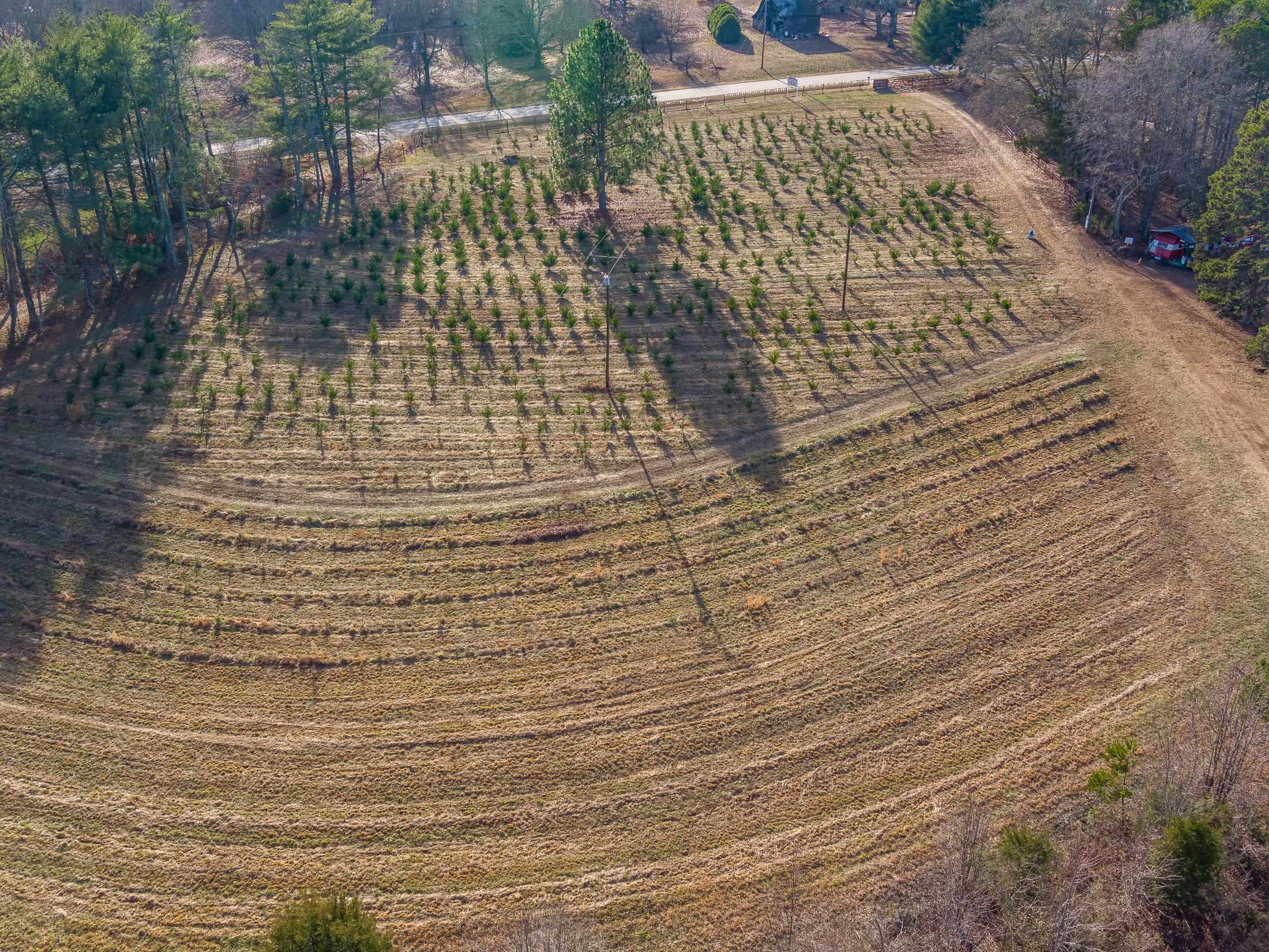 418 Martin Camp Road Chesnee, SC 29323 - Photo 25 of 27