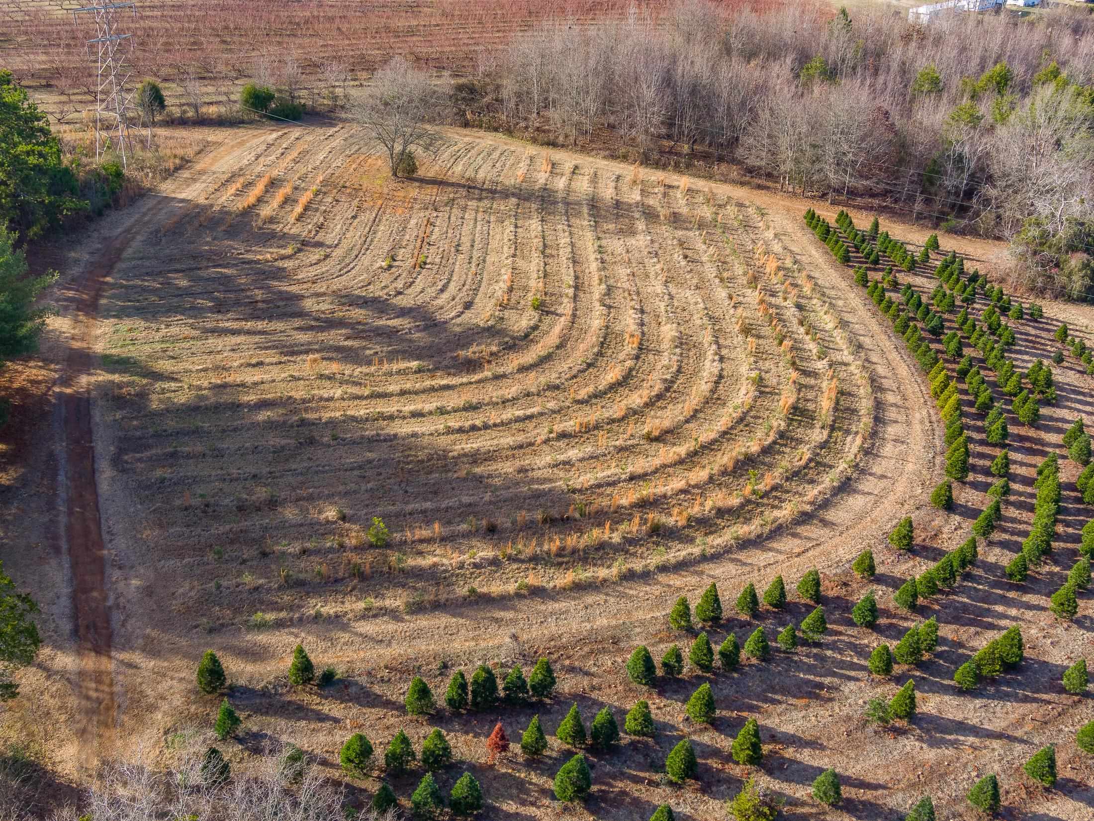 418 Martin Camp Road Chesnee, SC 29323 - Photo 26 of 27